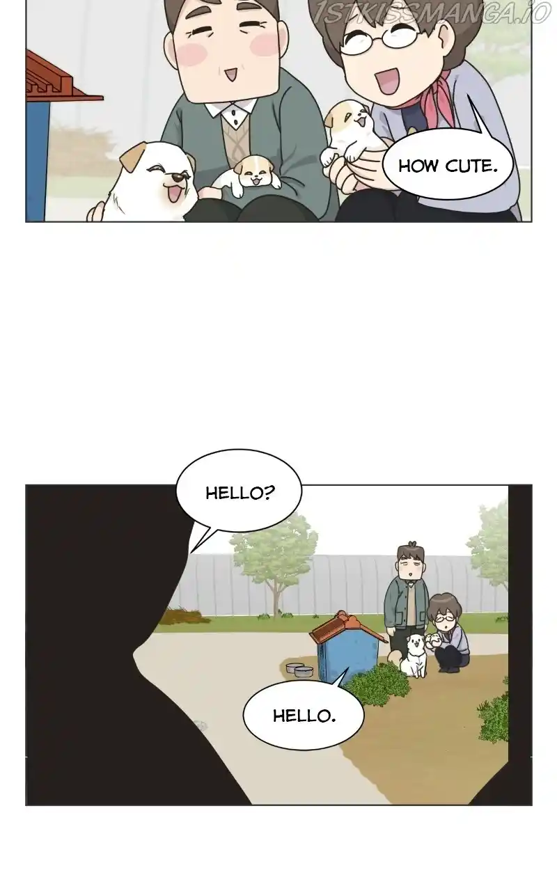 The Dog Diaries Chapter 73