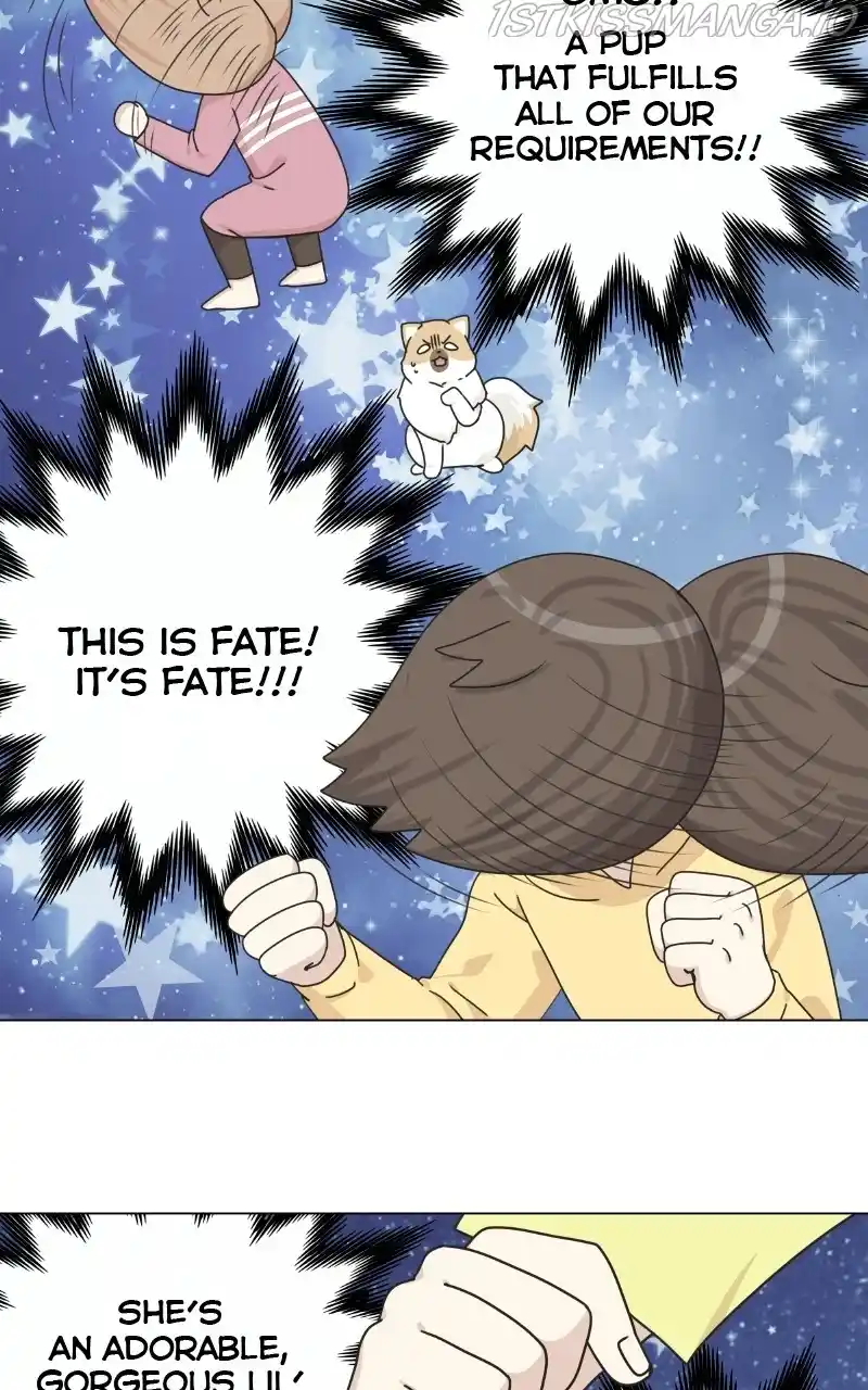 The Dog Diaries Chapter 73