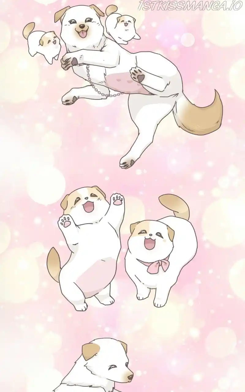 The Dog Diaries Chapter 73