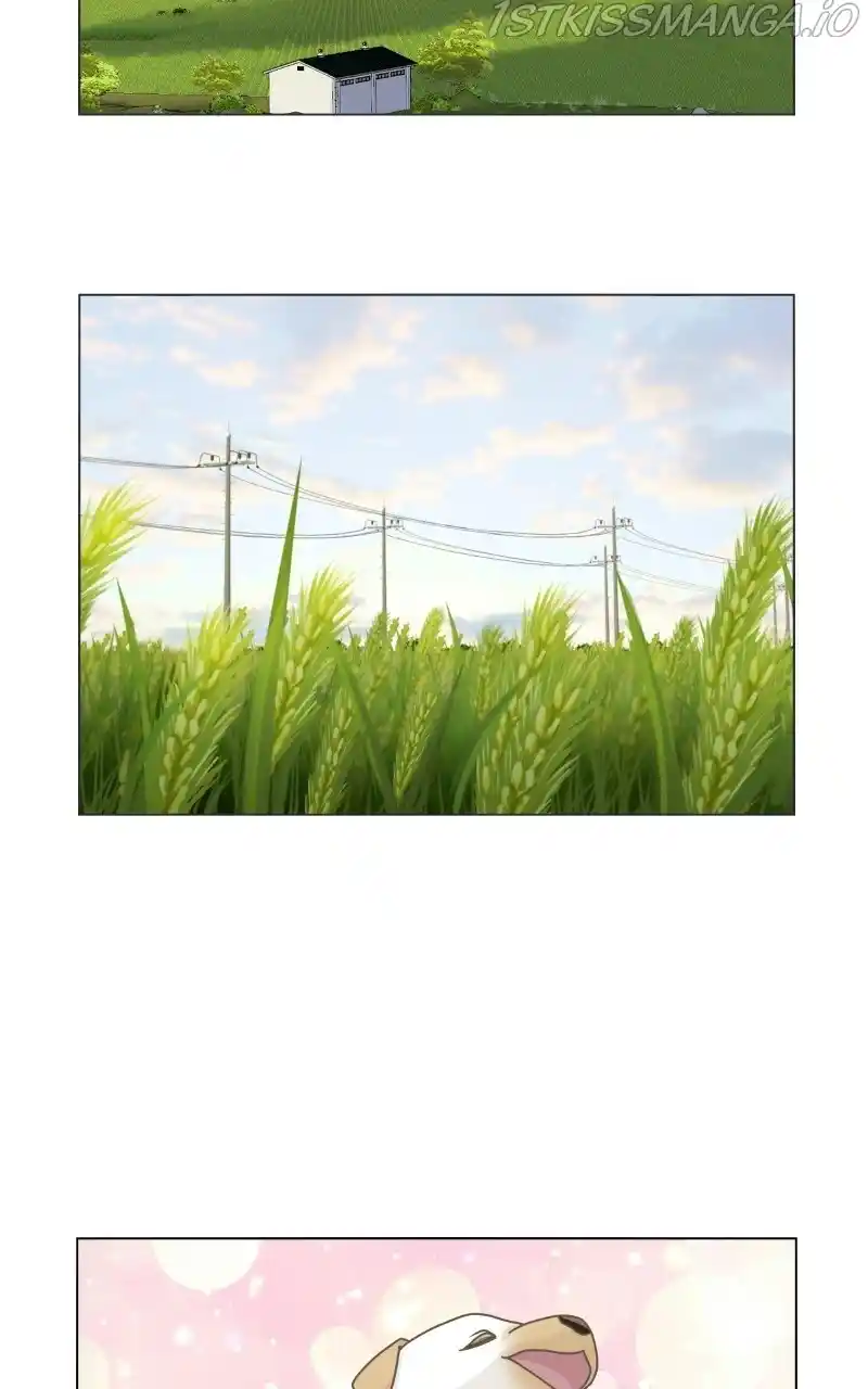 The Dog Diaries Chapter 73