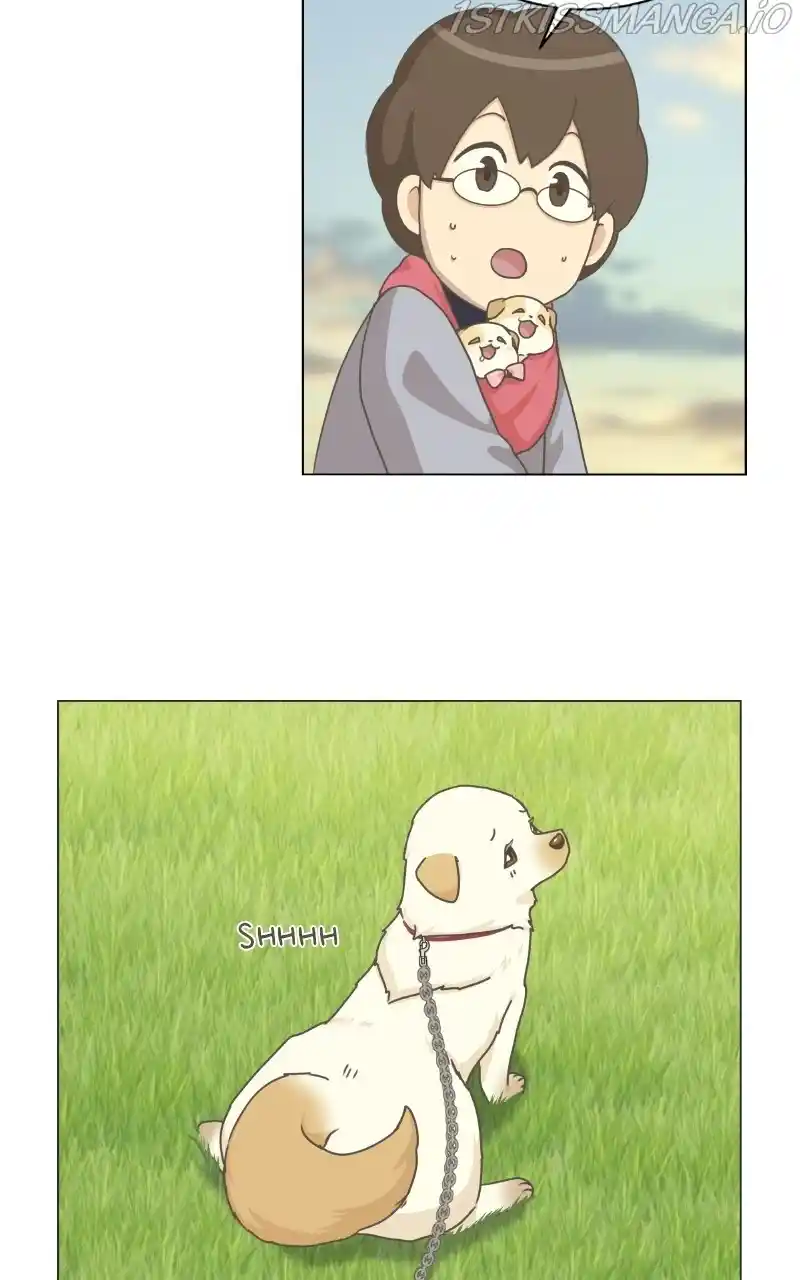 The Dog Diaries Chapter 73