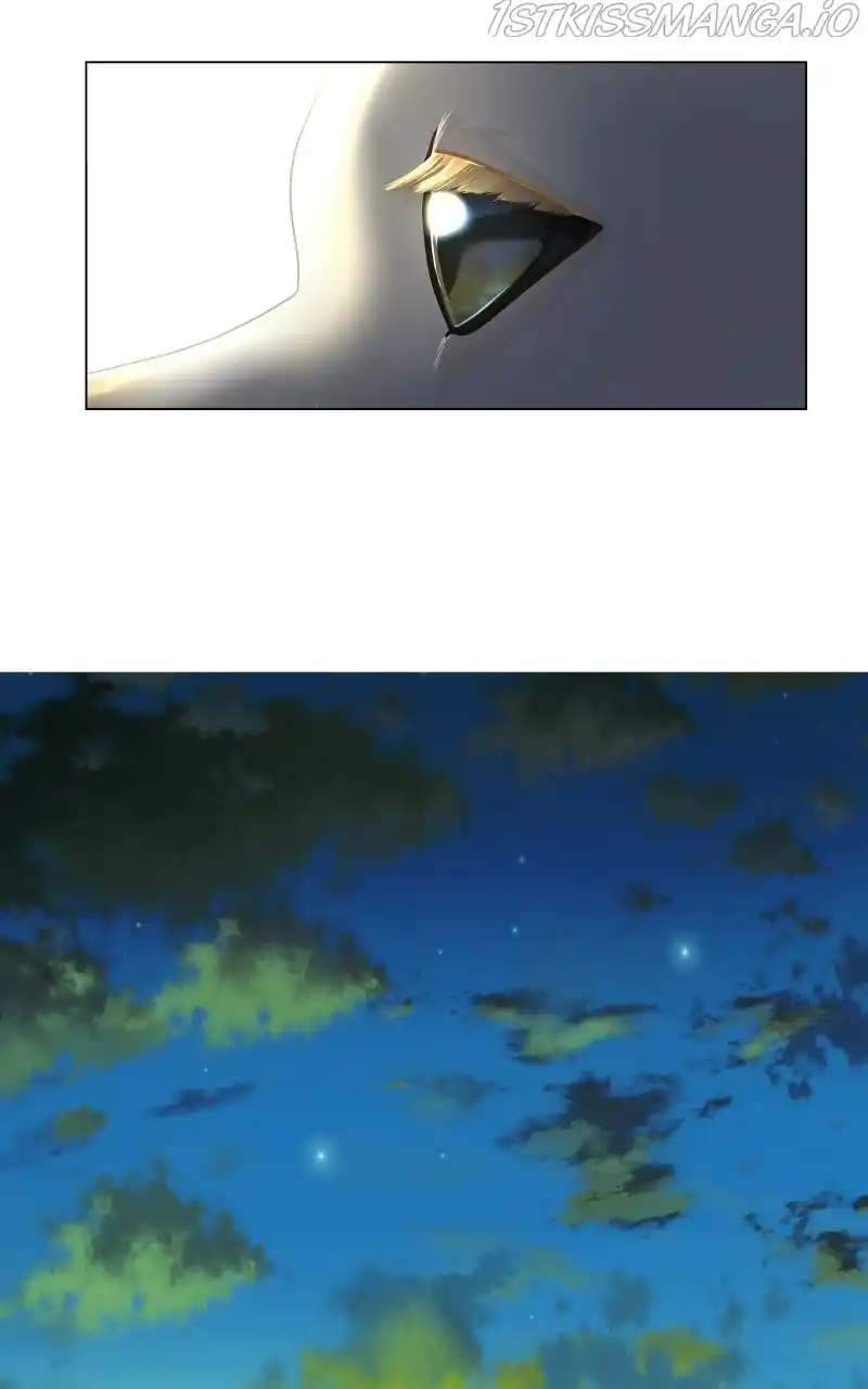 The Dog Diaries Chapter 73