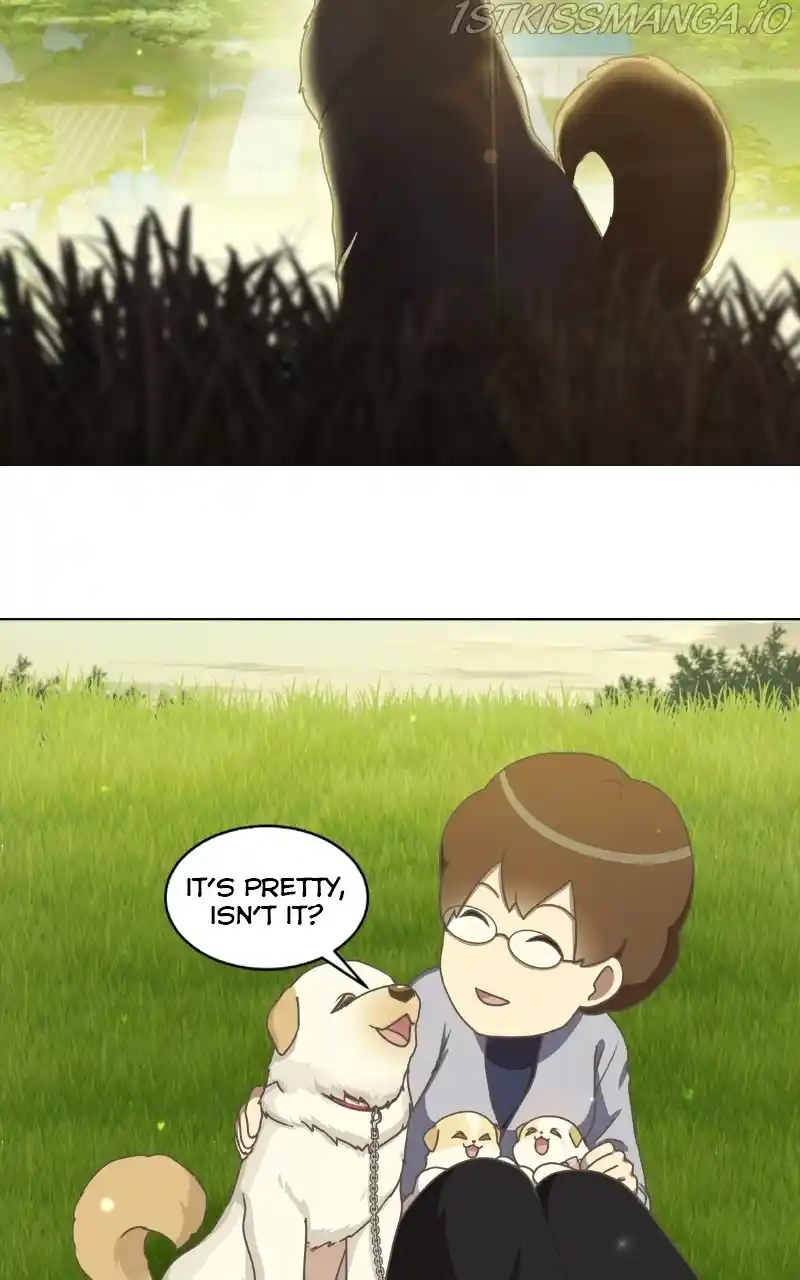 The Dog Diaries Chapter 73