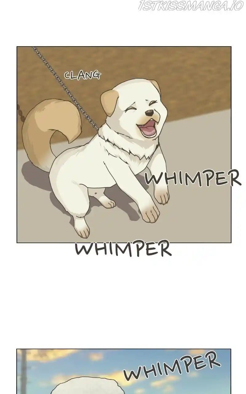 The Dog Diaries Chapter 73