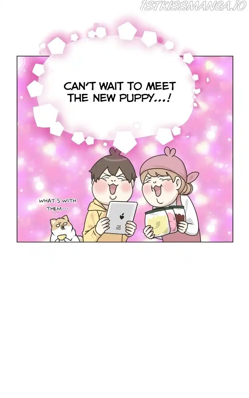 The Dog Diaries Chapter 73