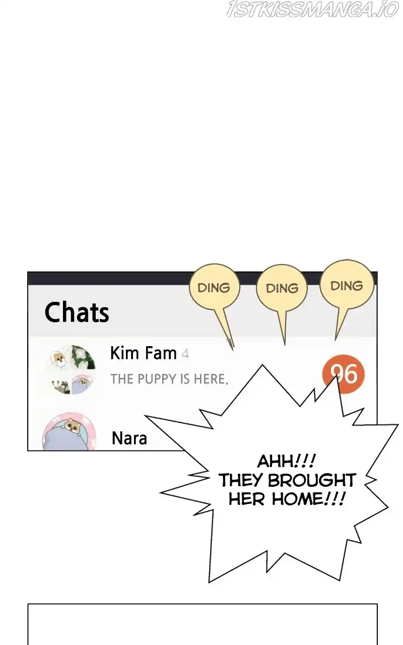 The Dog Diaries Chapter 73