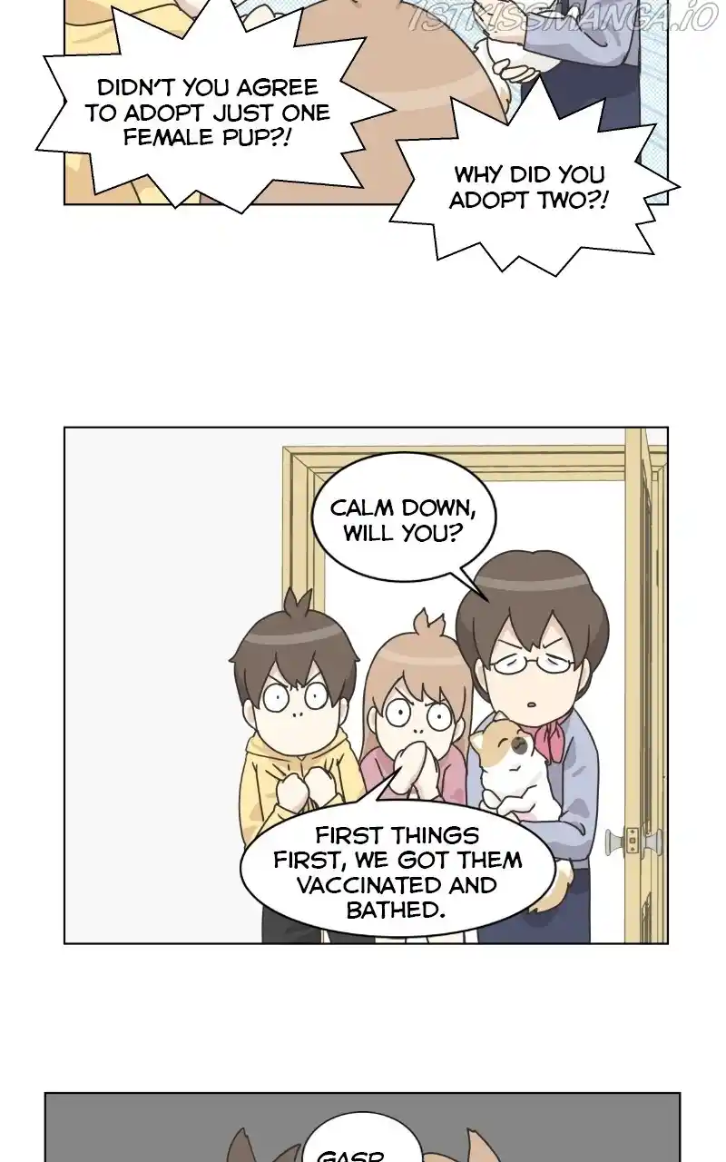 The Dog Diaries Chapter 74