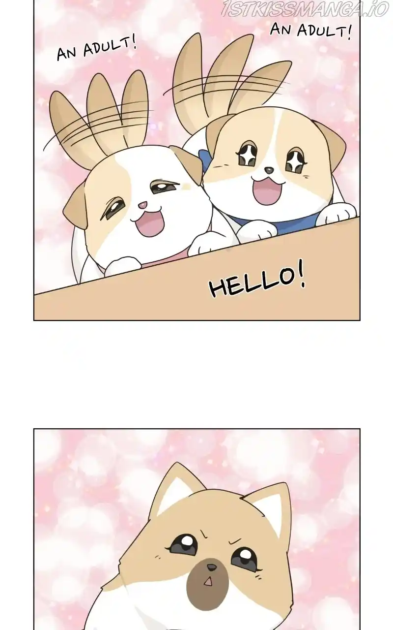 The Dog Diaries Chapter 74