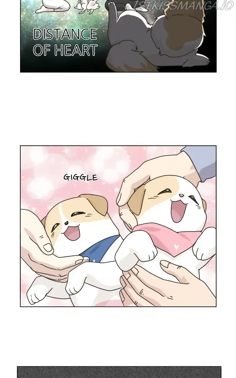 The Dog Diaries Chapter 74