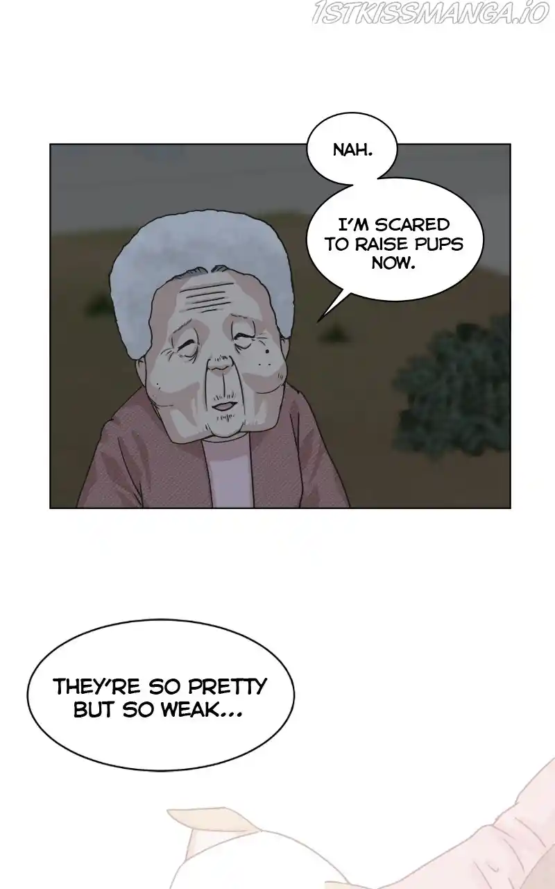 The Dog Diaries Chapter 74