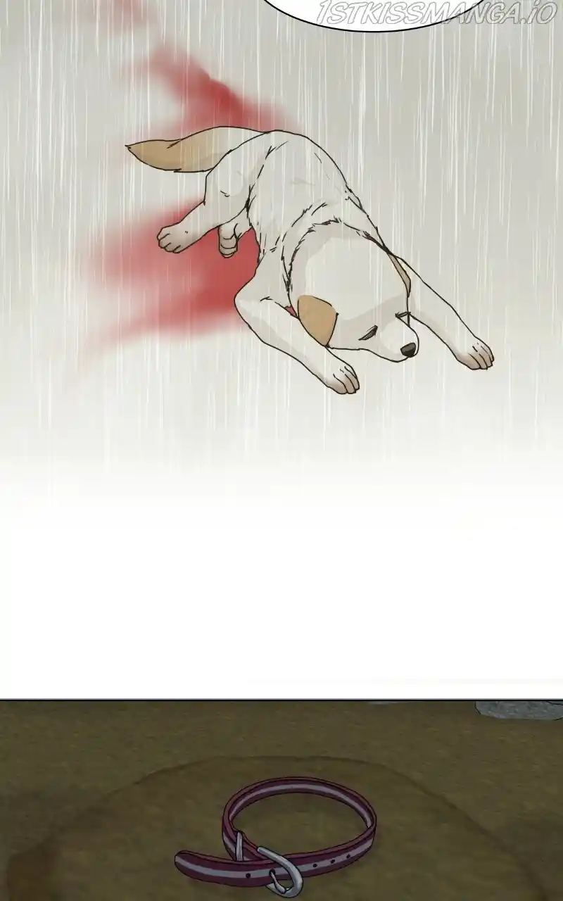 The Dog Diaries Chapter 74