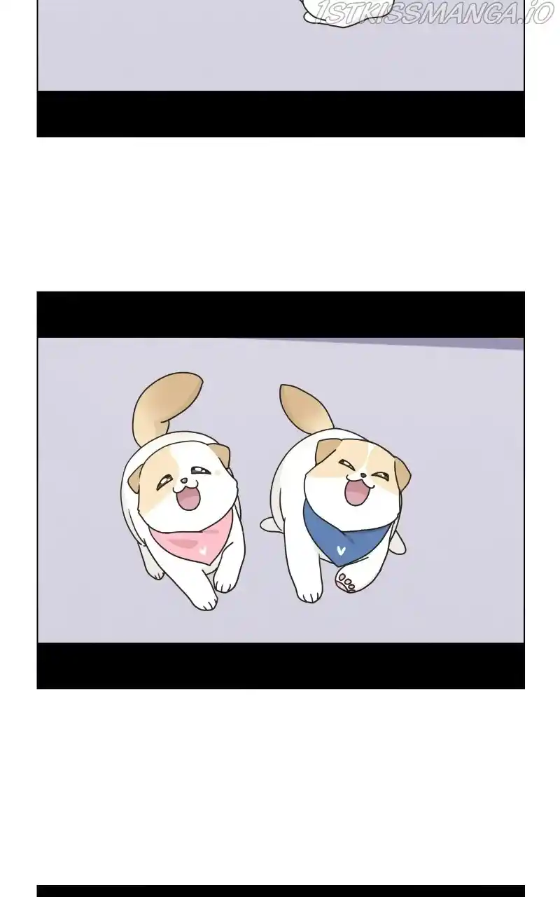 The Dog Diaries Chapter 75