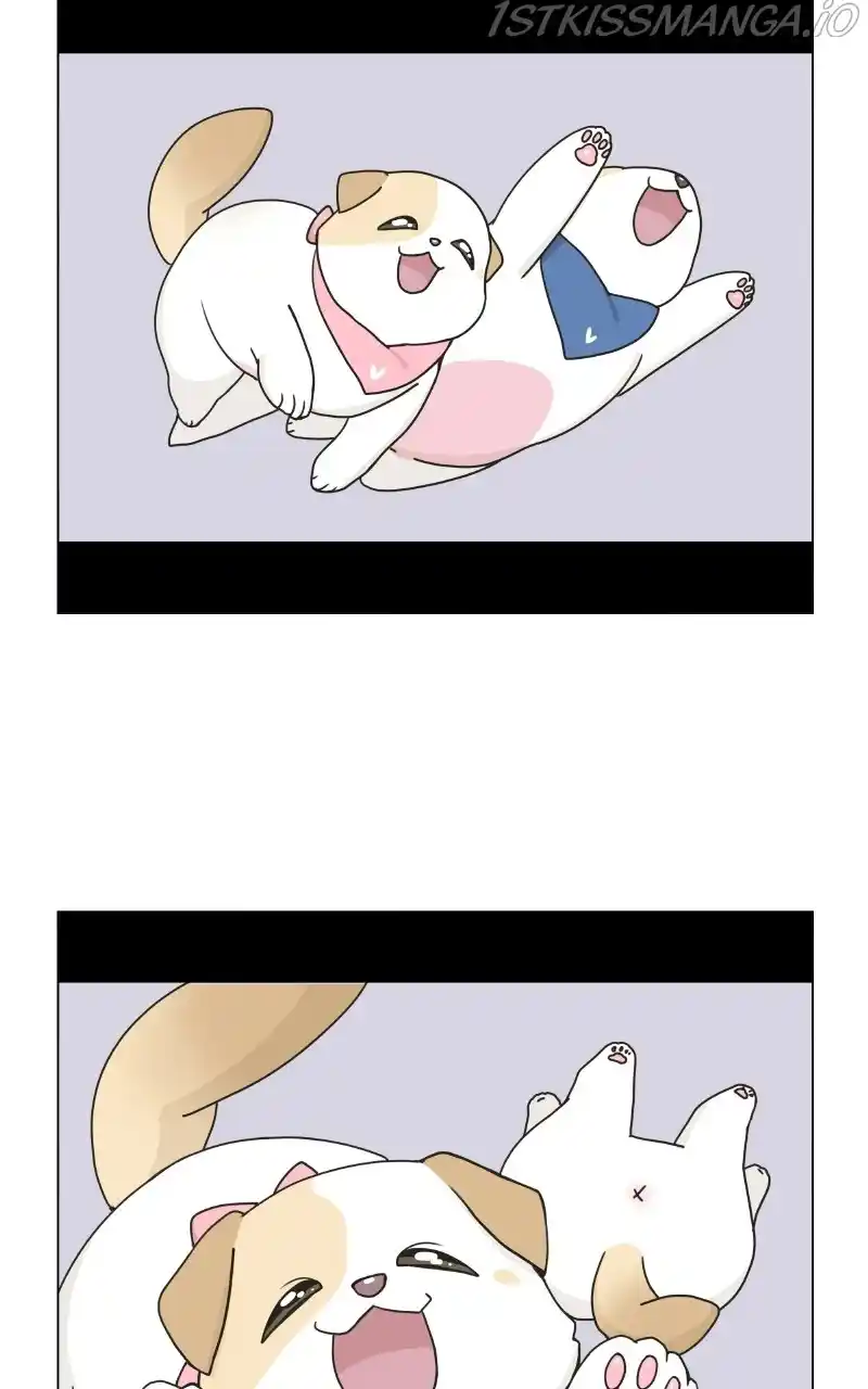 The Dog Diaries Chapter 75