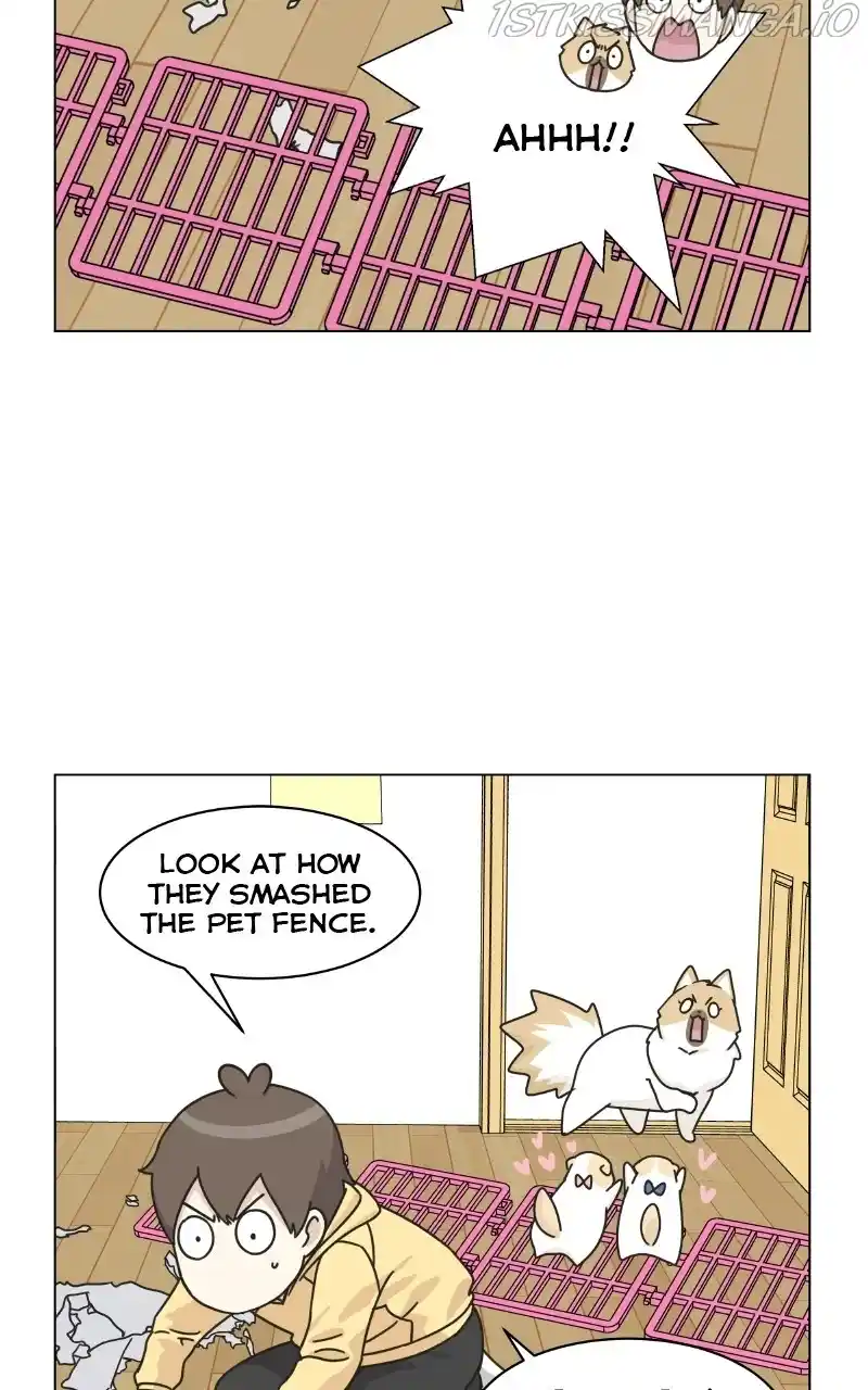 The Dog Diaries Chapter 75