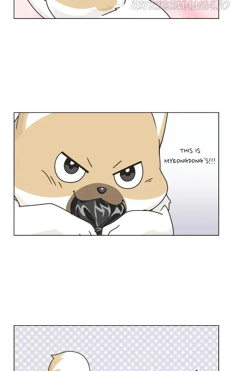 The Dog Diaries Chapter 75