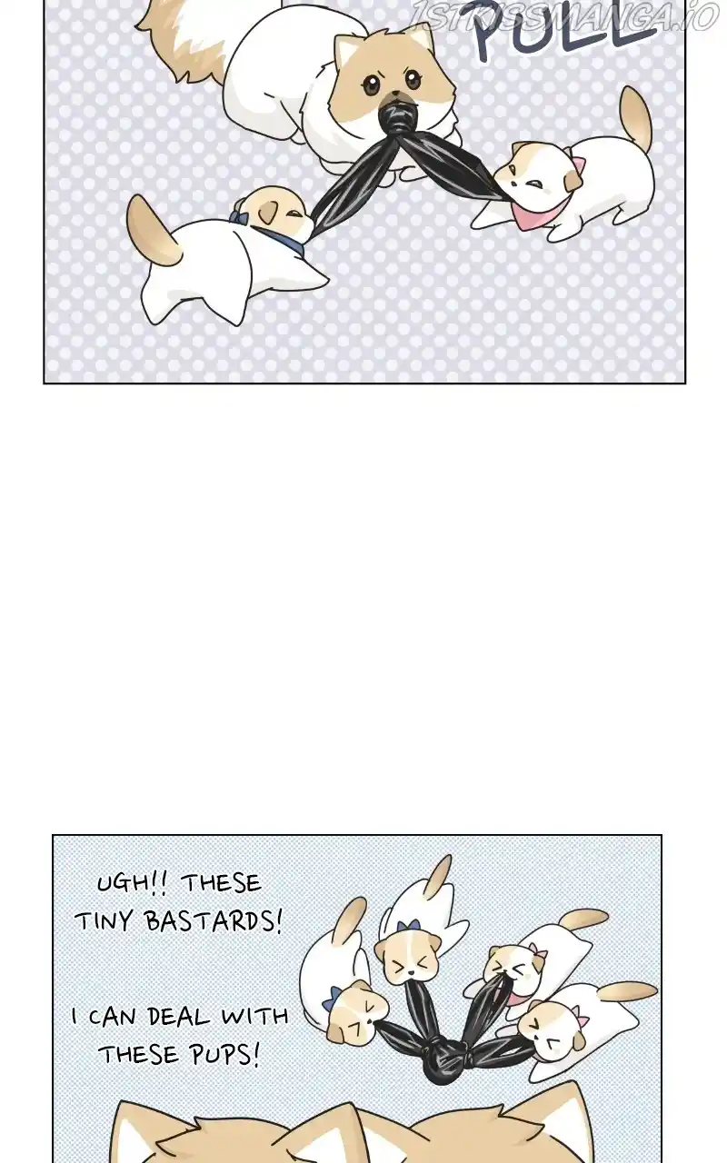 The Dog Diaries Chapter 75