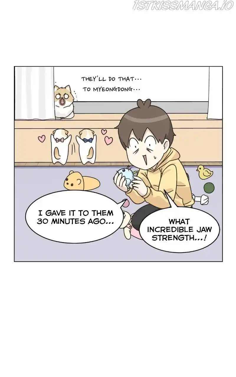 The Dog Diaries Chapter 75