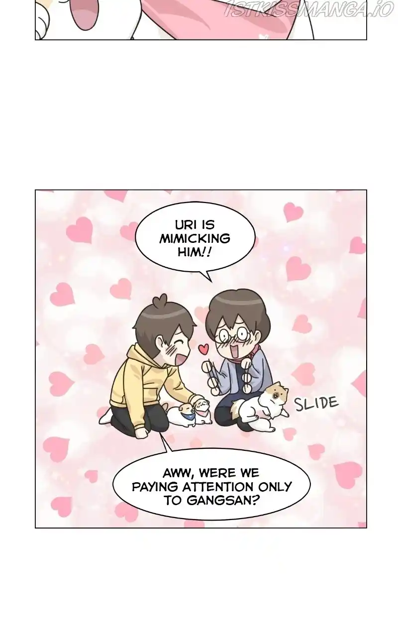 The Dog Diaries Chapter 75