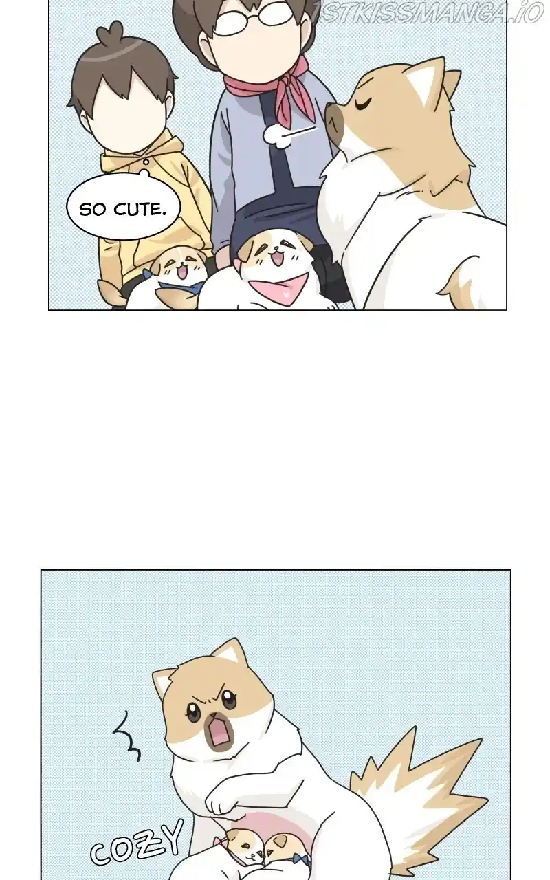 The Dog Diaries Chapter 75