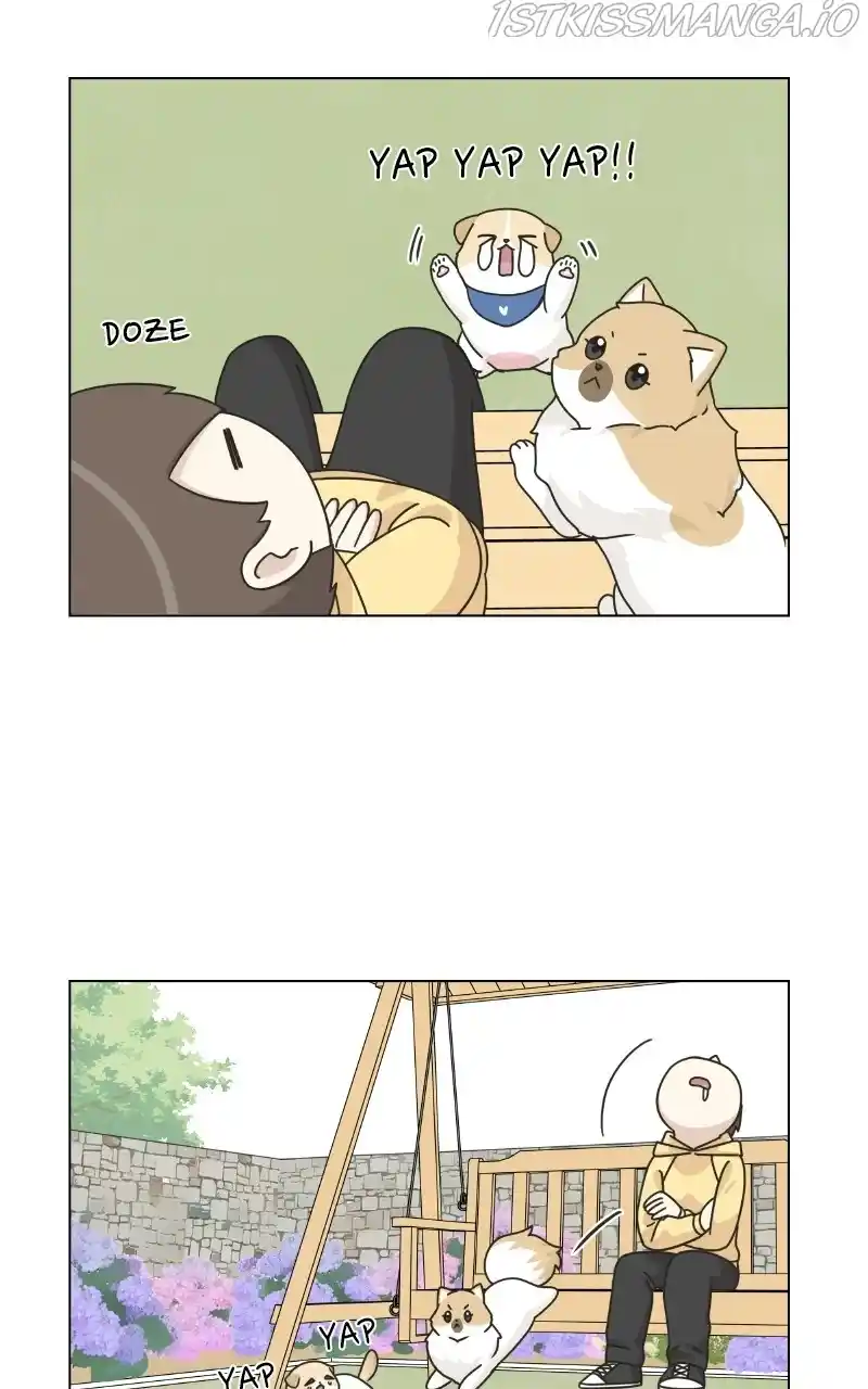 The Dog Diaries Chapter 76