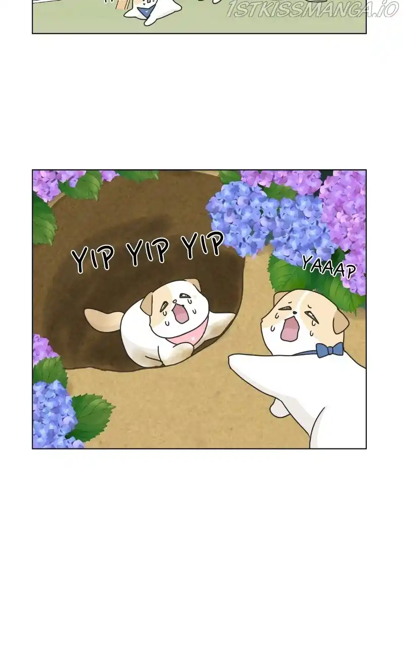 The Dog Diaries Chapter 76