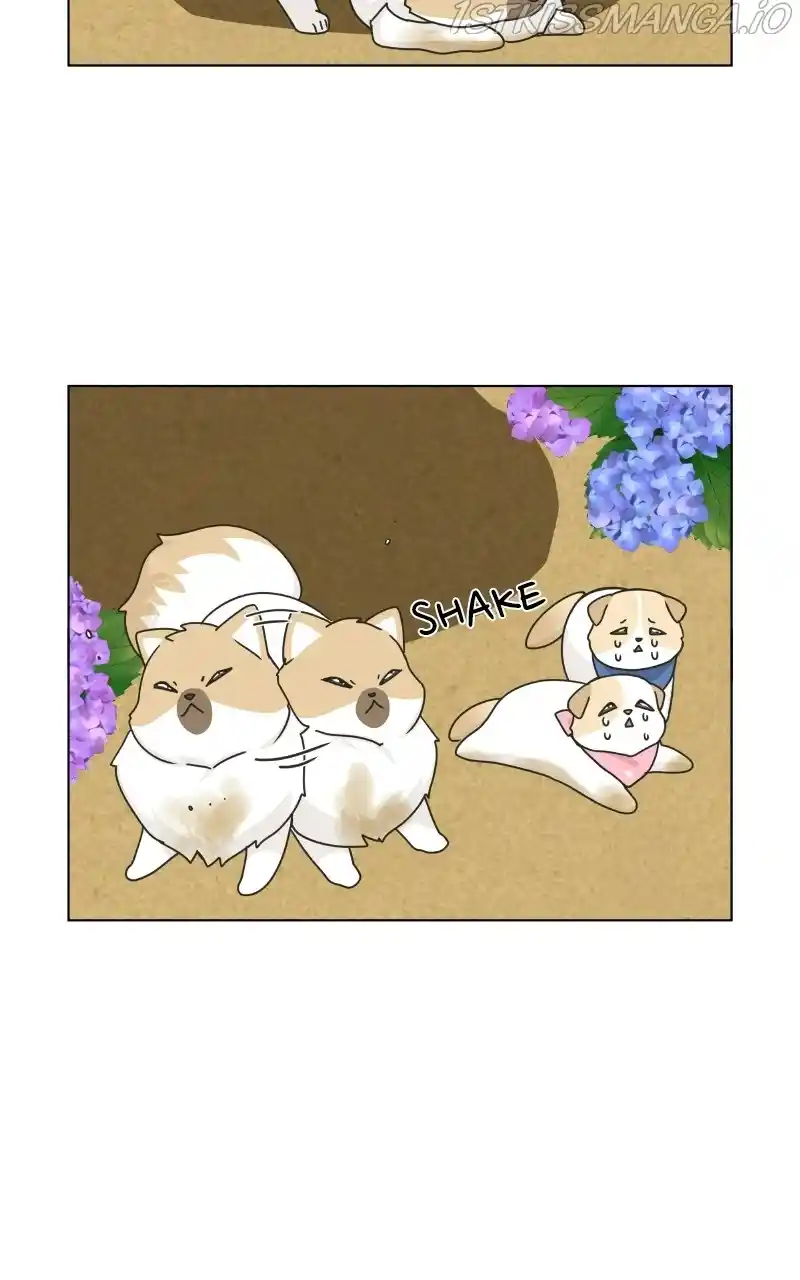 The Dog Diaries Chapter 76