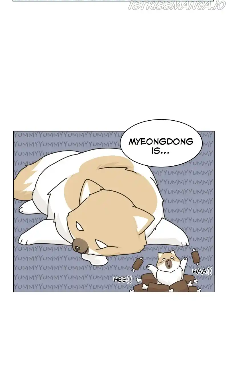 The Dog Diaries Chapter 76