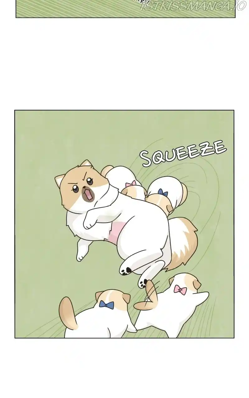 The Dog Diaries Chapter 76