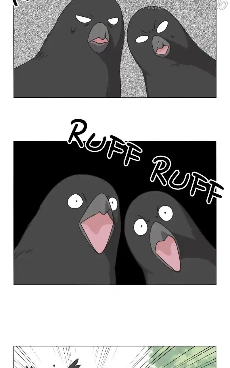 The Dog Diaries Chapter 76