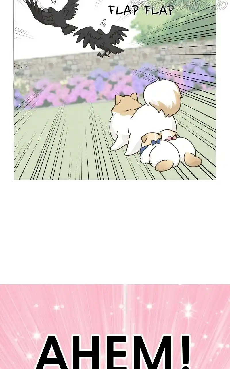 The Dog Diaries Chapter 76