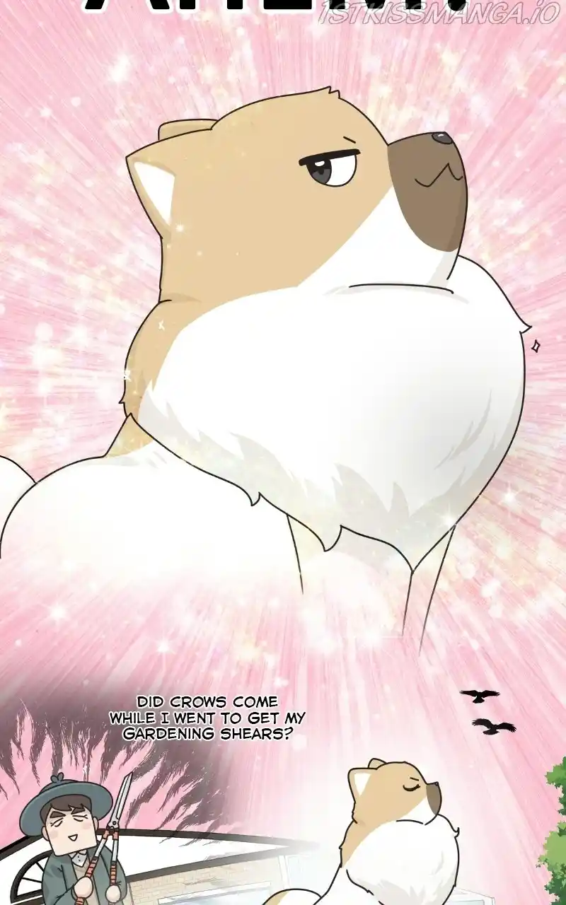 The Dog Diaries Chapter 76