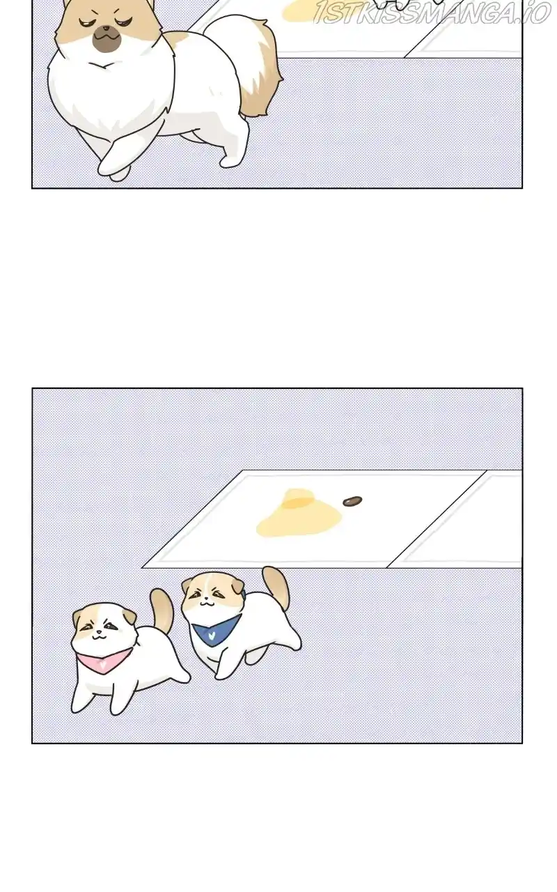 The Dog Diaries Chapter 76