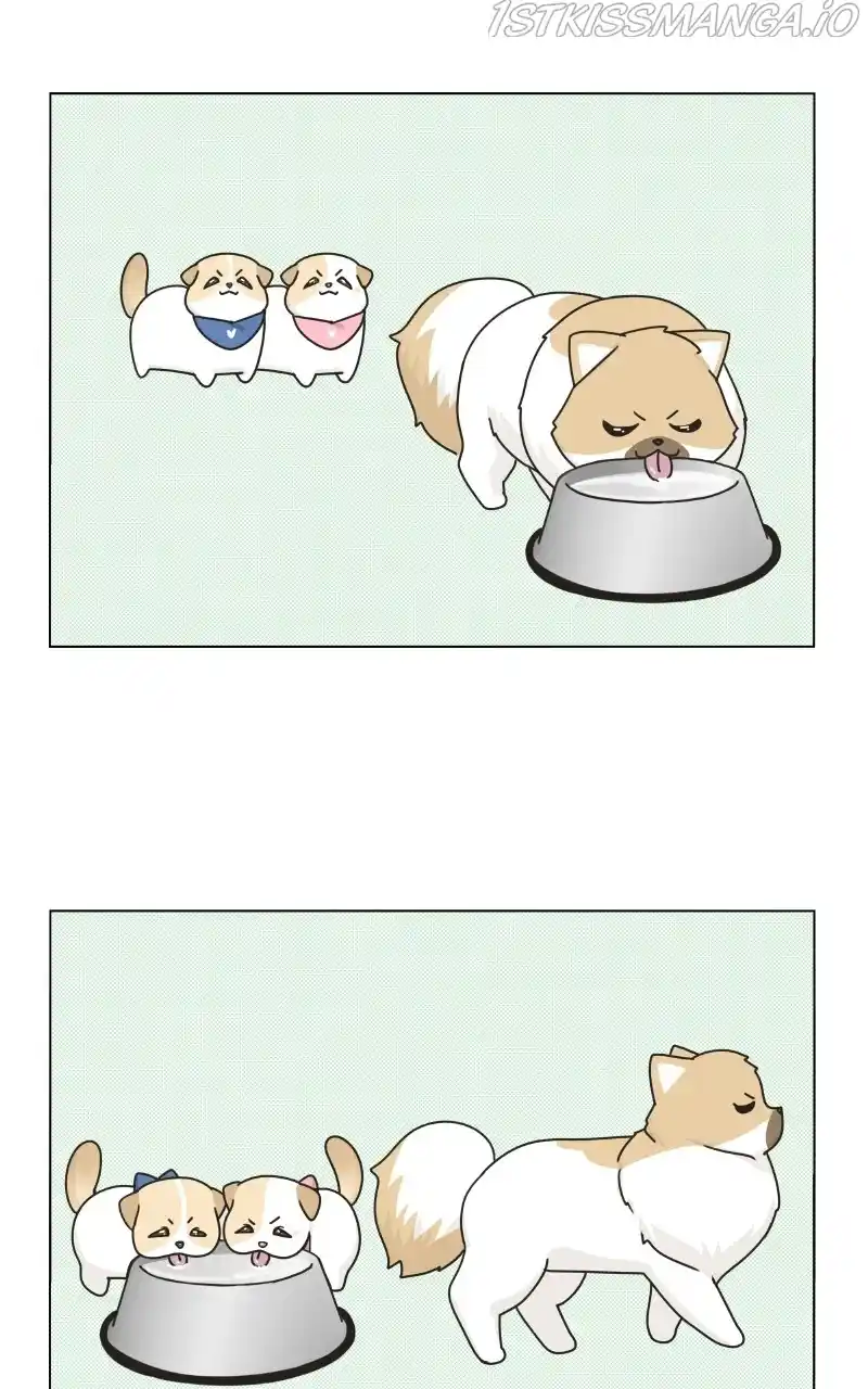 The Dog Diaries Chapter 76