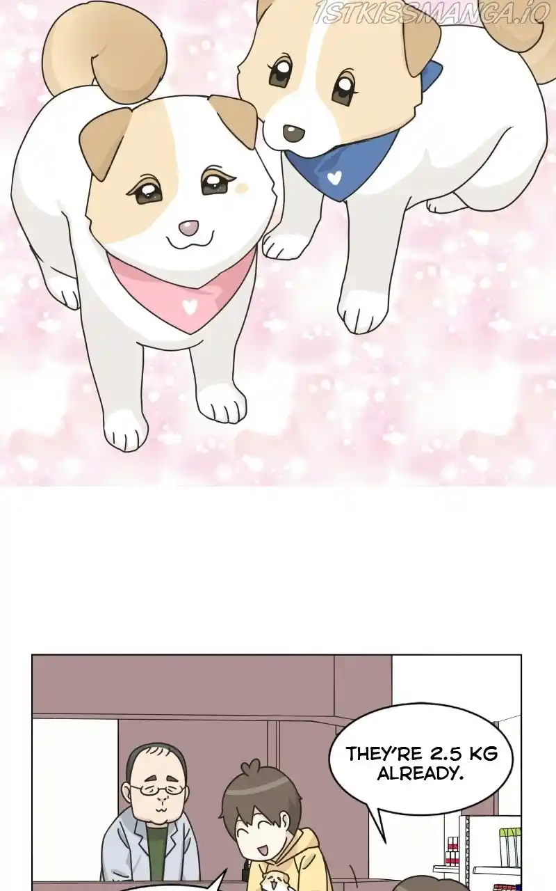 The Dog Diaries Chapter 76