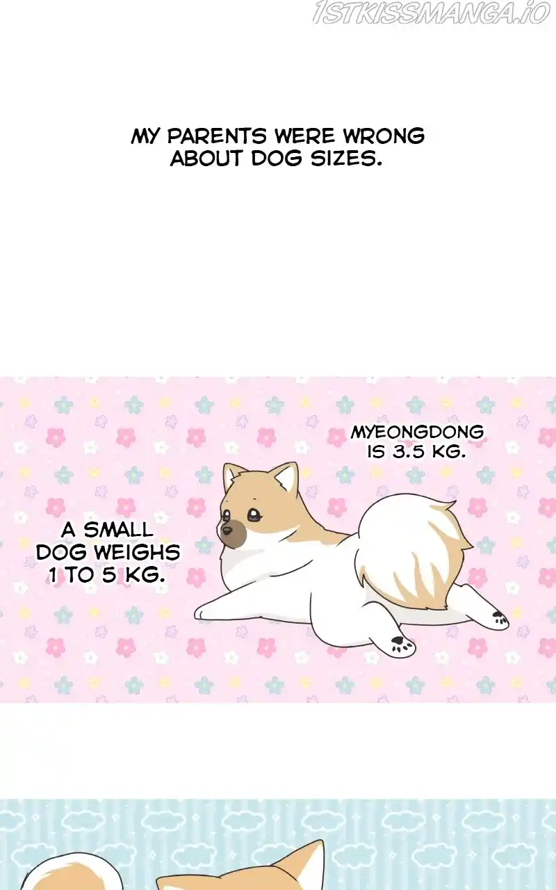 The Dog Diaries Chapter 77