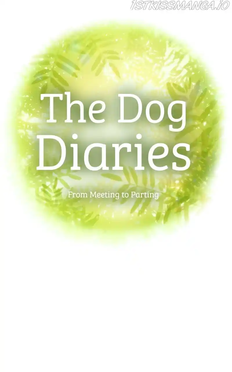 The Dog Diaries Chapter 77