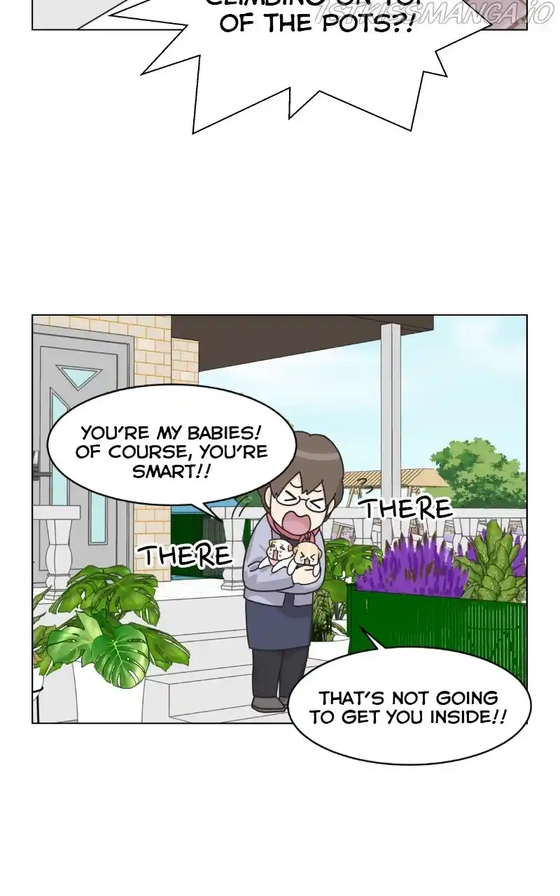 The Dog Diaries Chapter 77