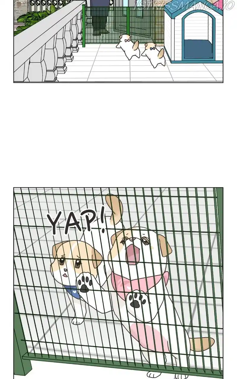 The Dog Diaries Chapter 77