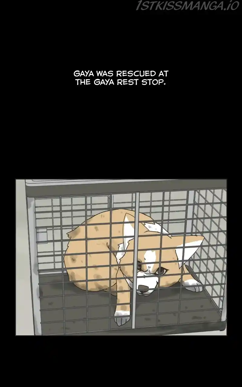 The Dog Diaries Chapter 78