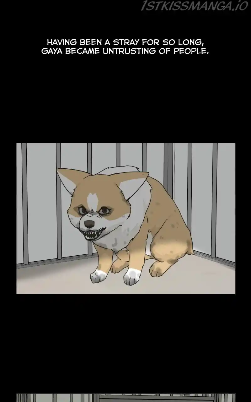 The Dog Diaries Chapter 78