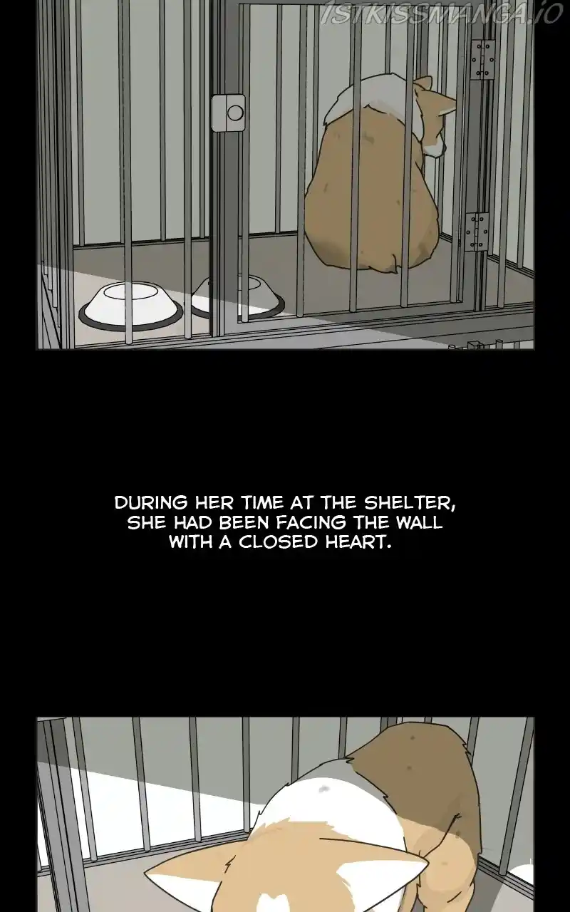 The Dog Diaries Chapter 78