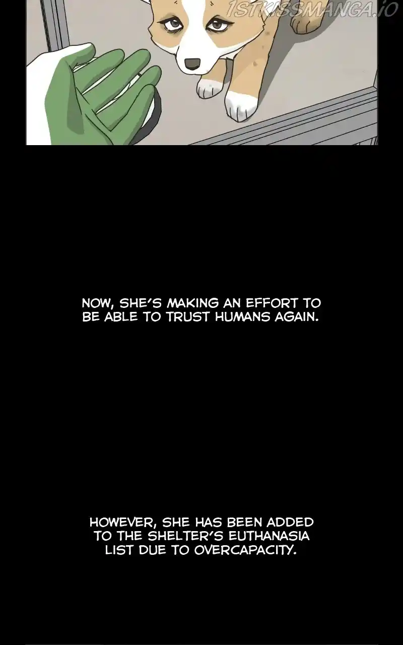 The Dog Diaries Chapter 78