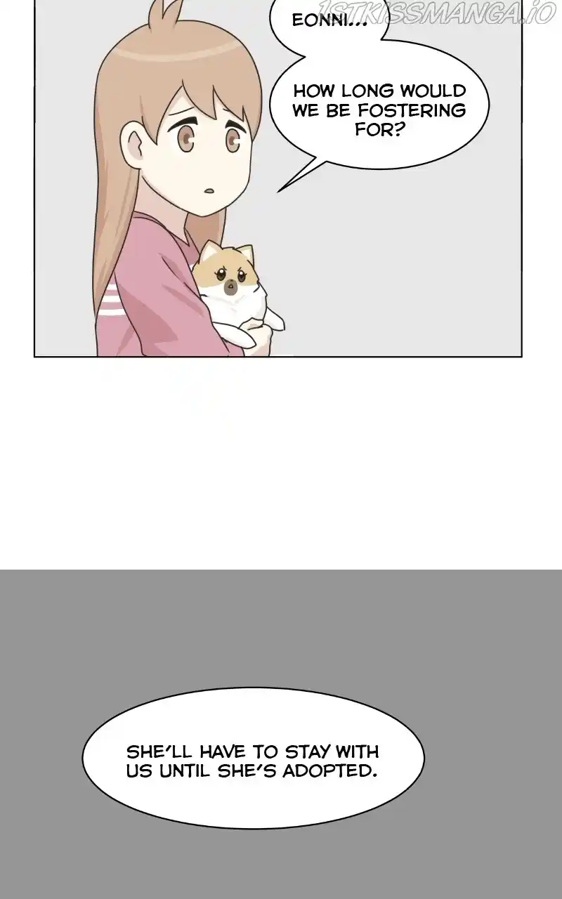 The Dog Diaries Chapter 78