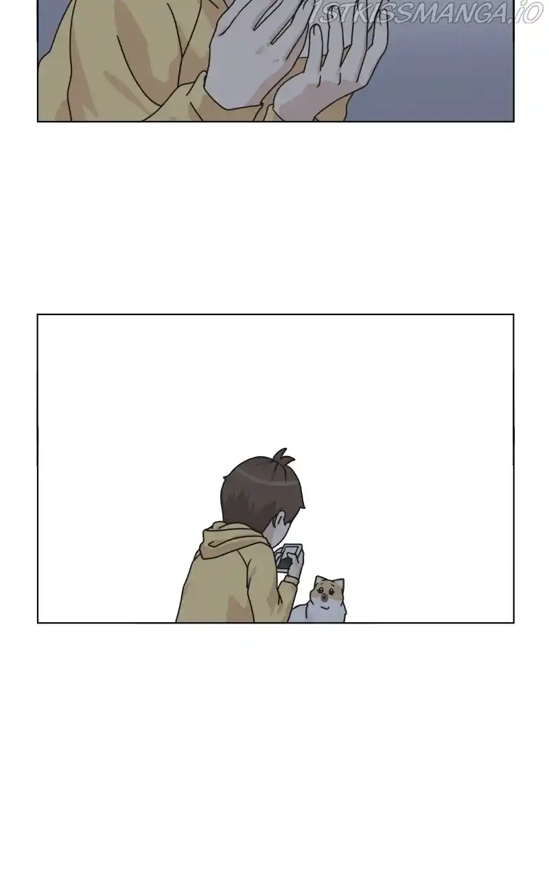 The Dog Diaries Chapter 78