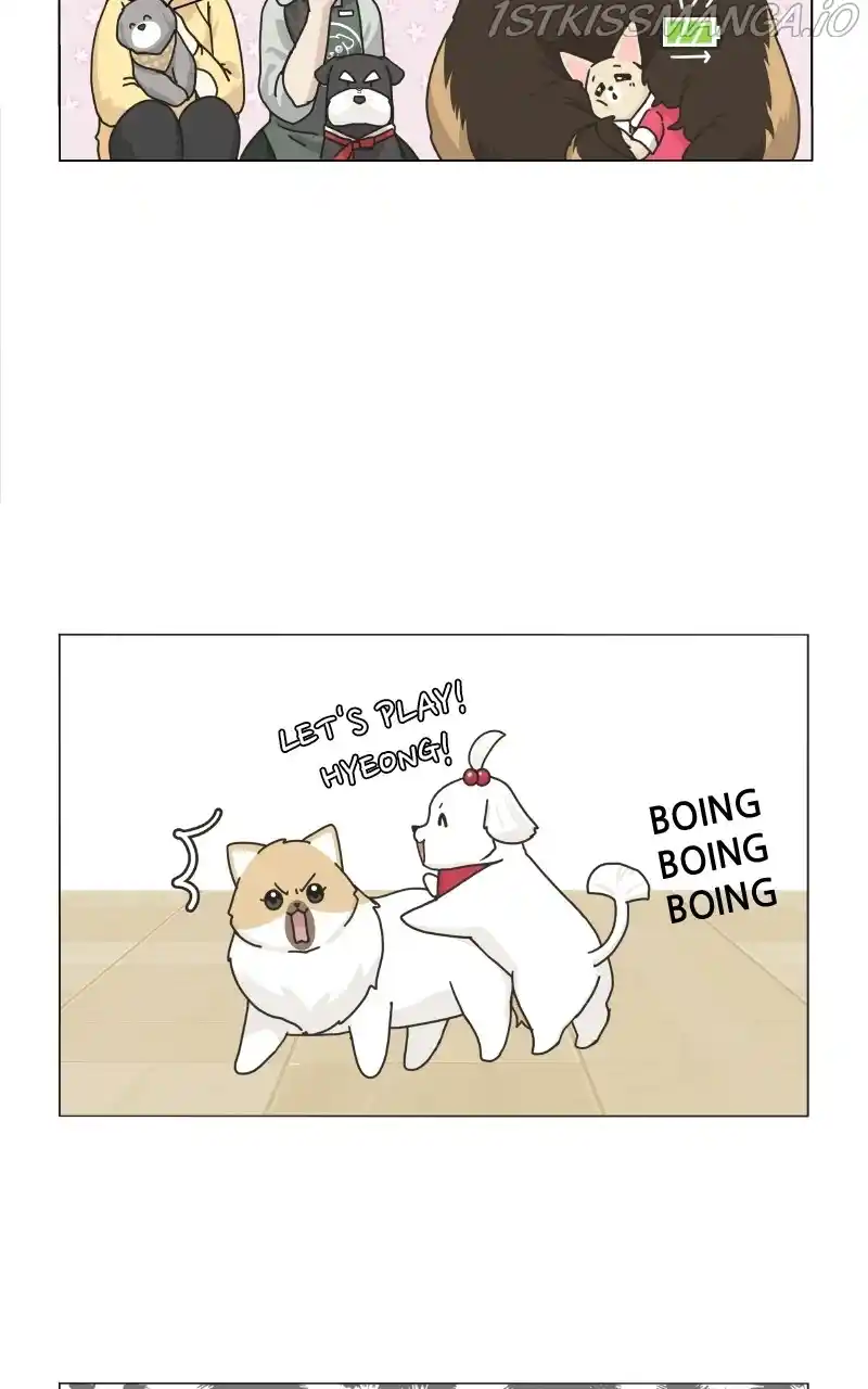 The Dog Diaries Chapter 78