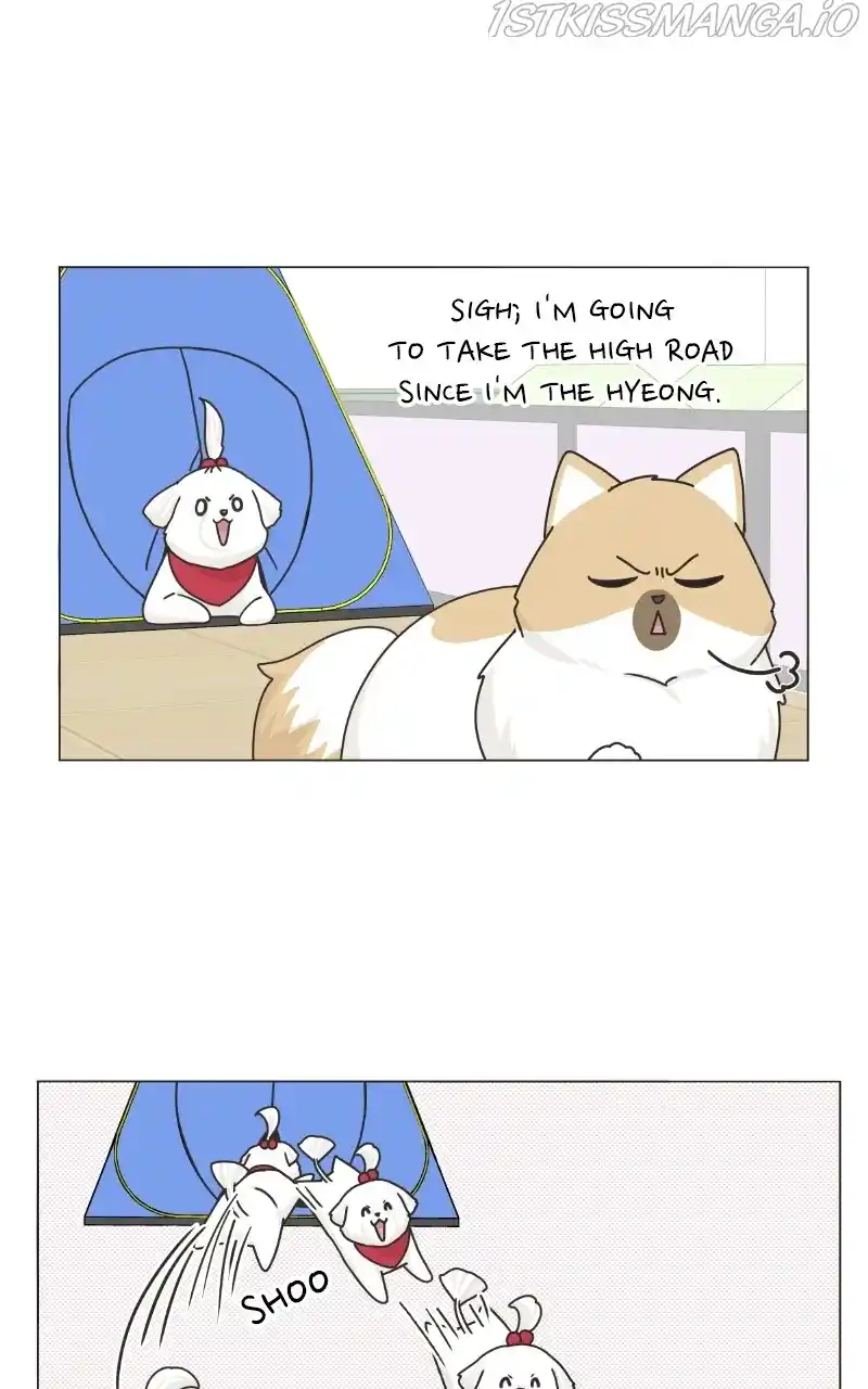 The Dog Diaries Chapter 78