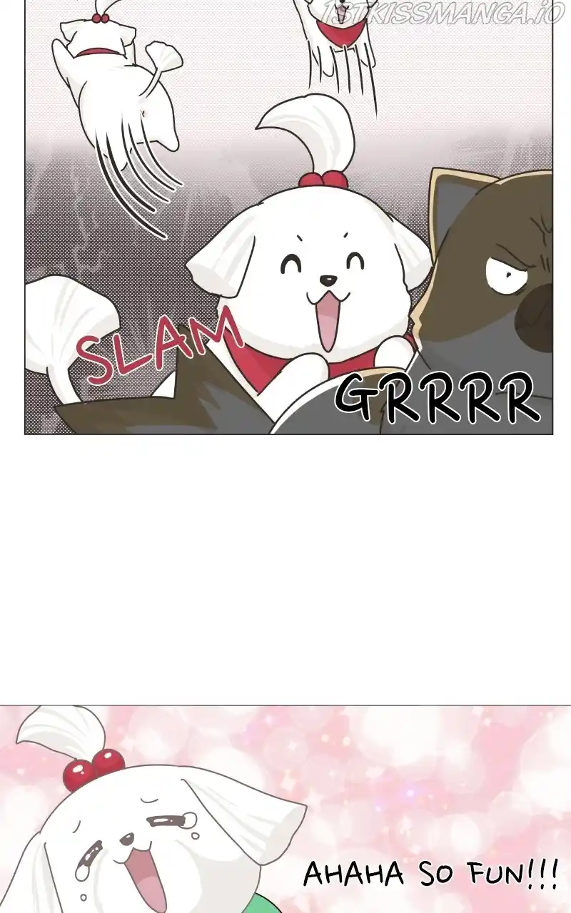 The Dog Diaries Chapter 78