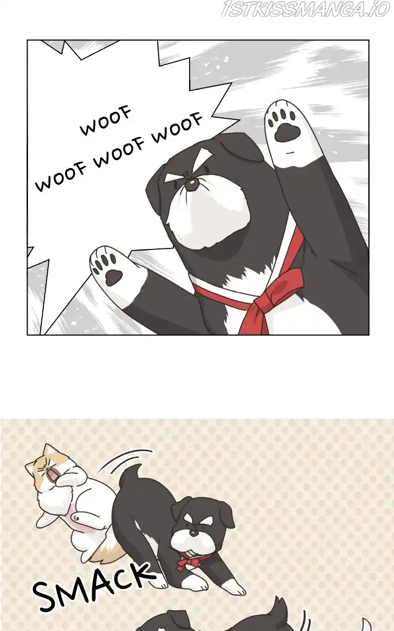 The Dog Diaries Chapter 78