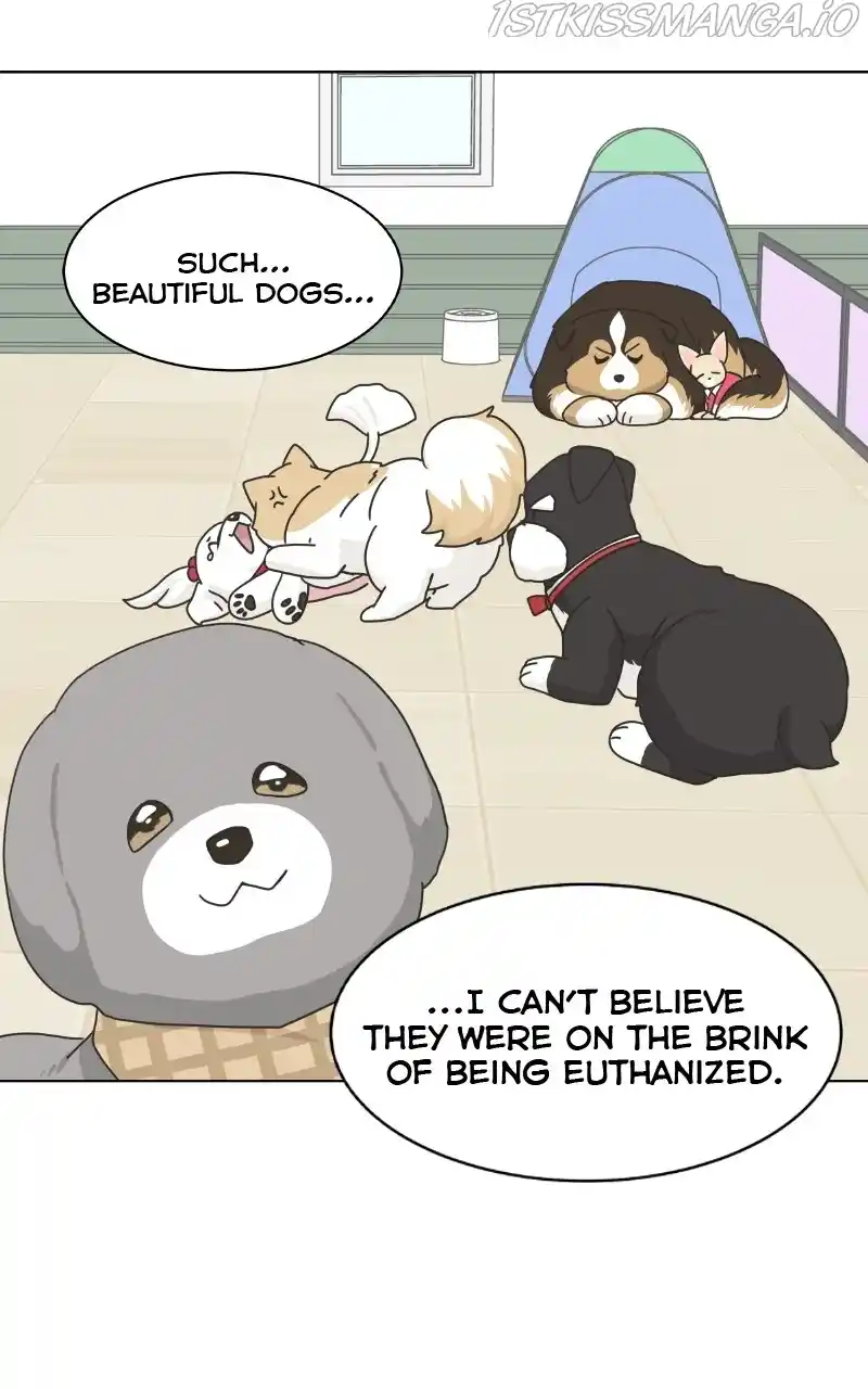 The Dog Diaries Chapter 78