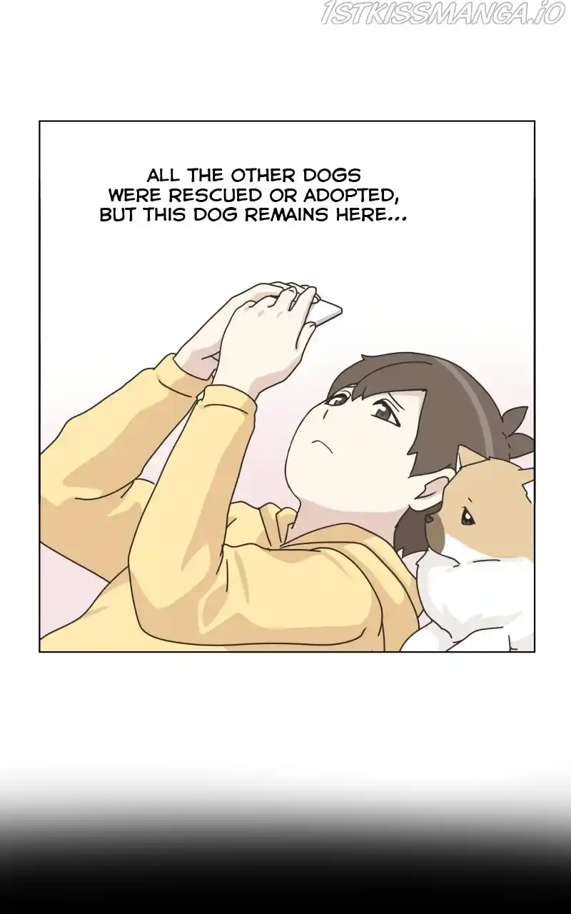 The Dog Diaries Chapter 78